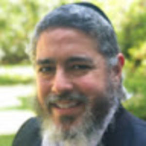 Meet your Posher, Dovid